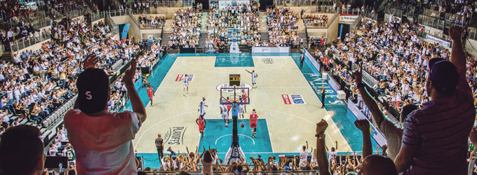 Les Sharks d'Antibes ont réussi l'exploit ! Les Antibois sont déjà de retour !